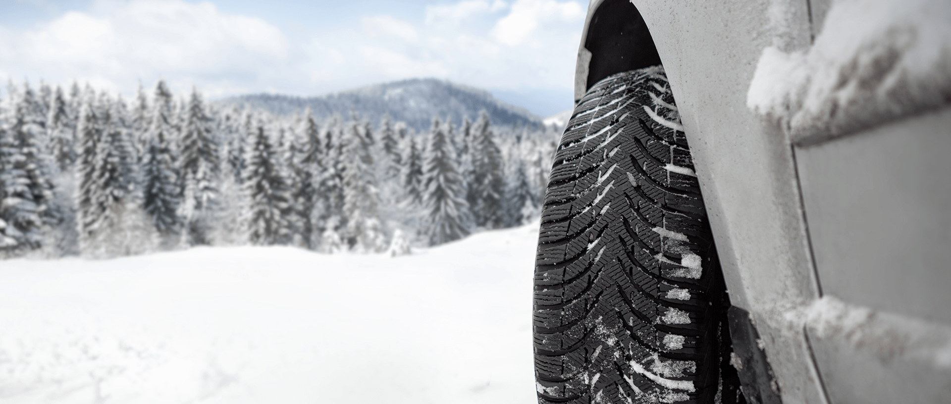 株式会社ネクストワン会社概要